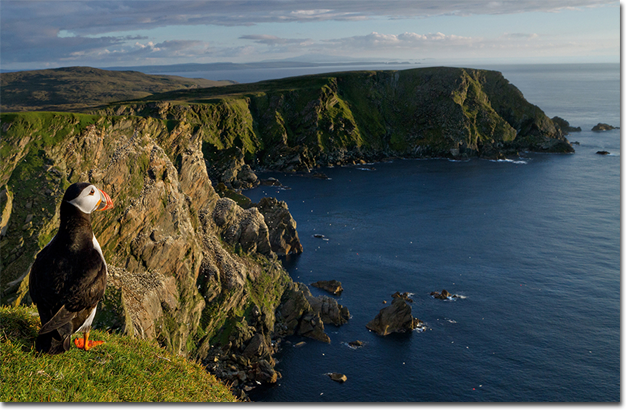 MZ5A & MZ5B - Shetland Islands, Scotland