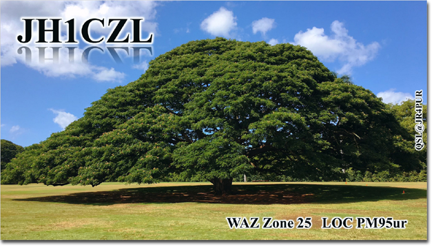 QSL@JR4PUR #091 - The Hitachi Tree