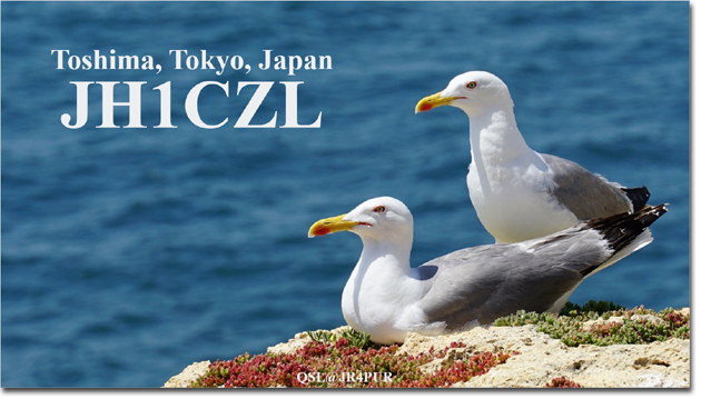 QSL@JR4PUR #093 - Seagulls