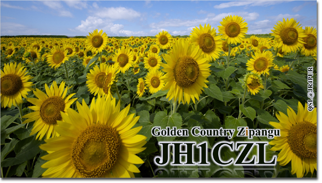 QSL@JR4PUR #107 - Taraxacum