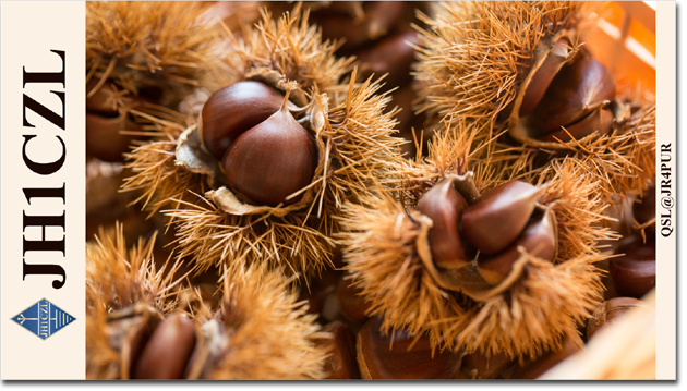 QSL@JR4PUR #187 - Chestnuts