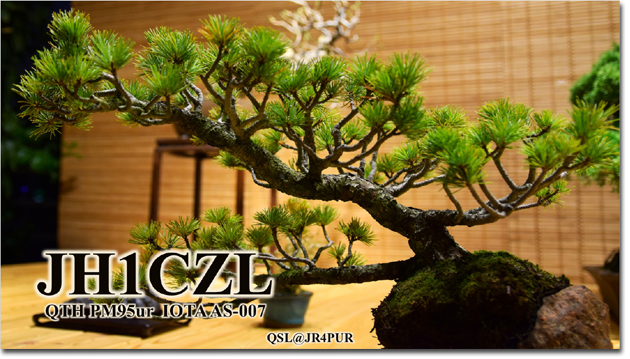 QSL@JR4PUR #199 - Bonsai