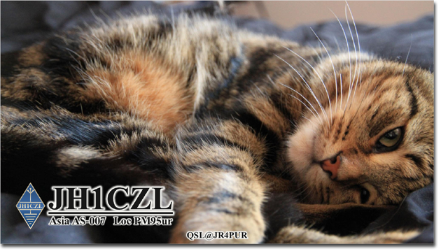 QSL@JR4PUR #245 - Day Dreaming