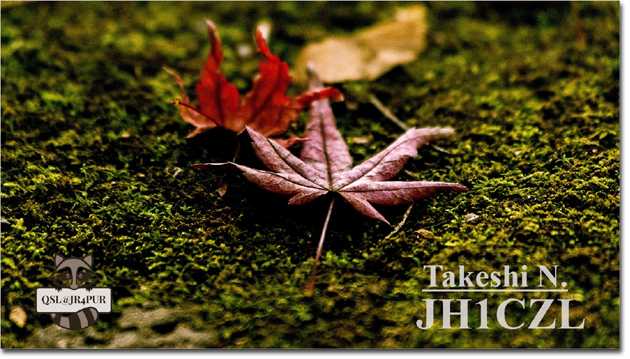 QSL@JR4PUR #264 - The Fallen Leaves