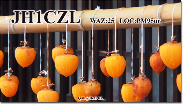 QSL@JR4PUR #277 - Dried Persimmon