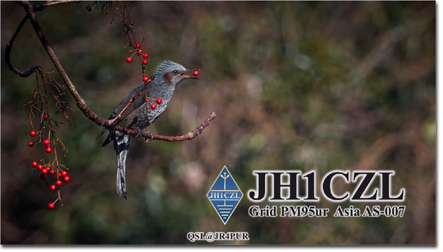 QSL@JR4PUR #296 - Dusky Thrush