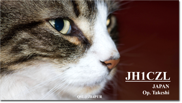 QSL@JR4PUR #361 - Handsome Cat