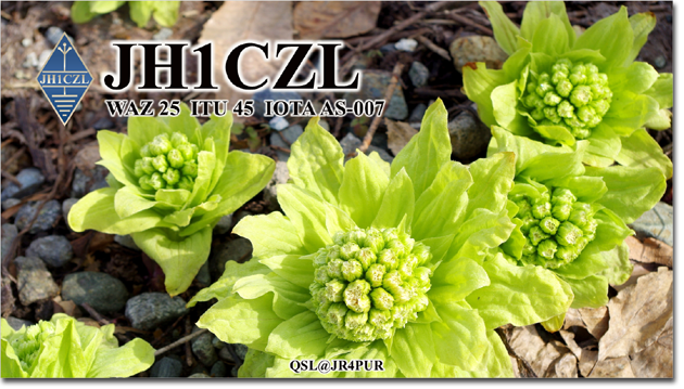 QSL@JR4PUR #362 - Japanese Butterbur